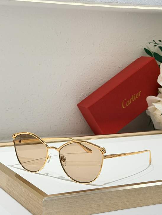 Picture of Cartier Sunglasses _SKUfw79164718fw
